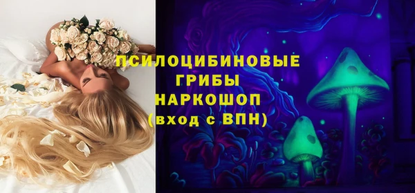 Альфа ПВП Абаза
