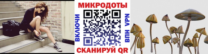 закладка  Владикавказ  Псилоцибиновые грибы MAGIC MUSHROOMS 
