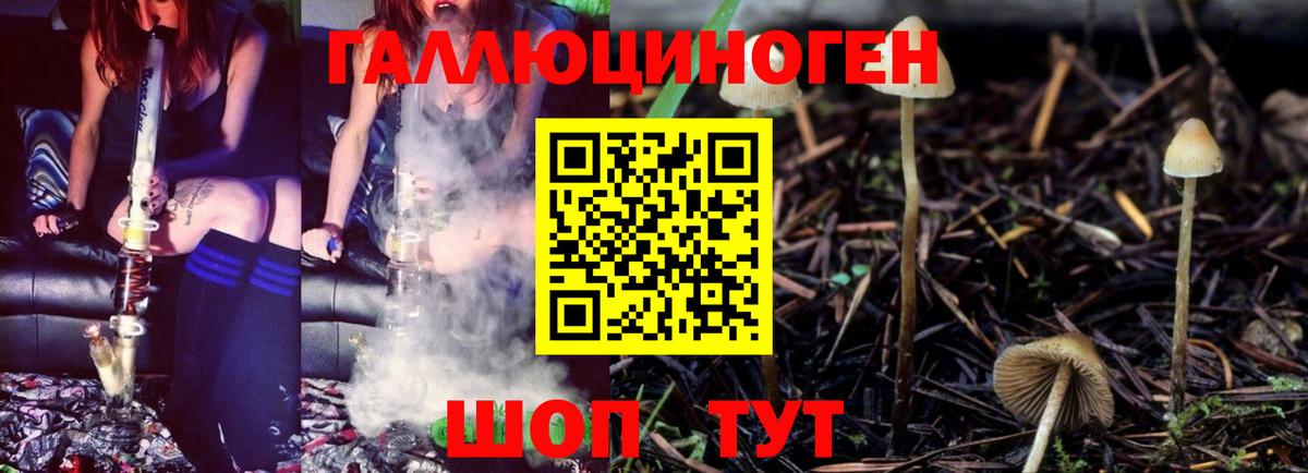 Владикавказ  Псилоцибиновые грибы ЛСД  Галлюциногенные грибы GOLDEN TEACHER  Вход с VPN 